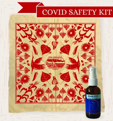 Covid Safety Kit
