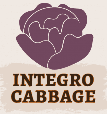 Integro Cabbage Illustration
