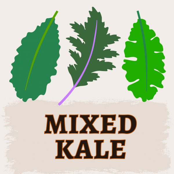 Mixed Kale