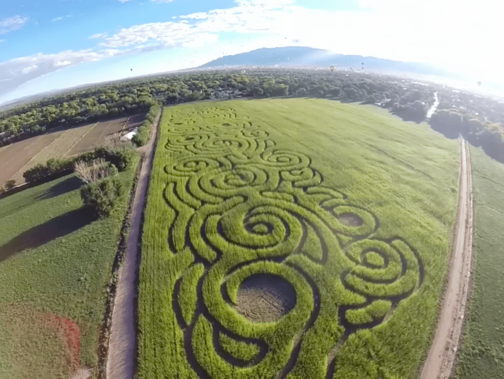 Maize Maze aerial shot
