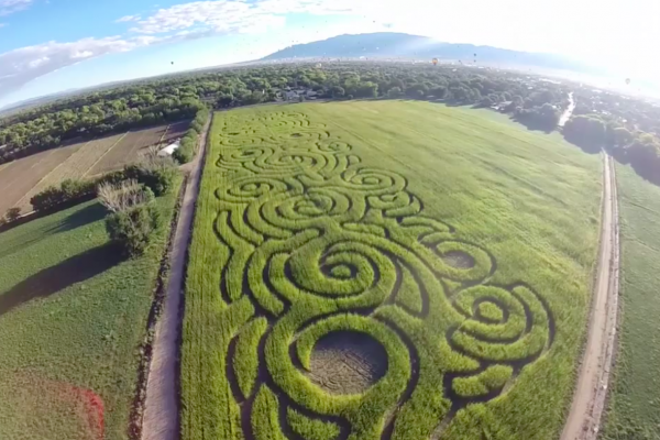Maize Maze aerial shot