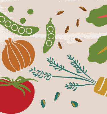 Illustration of Colorful Plants