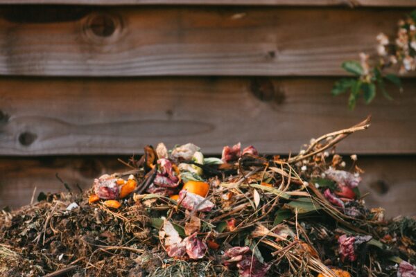 A compost pile