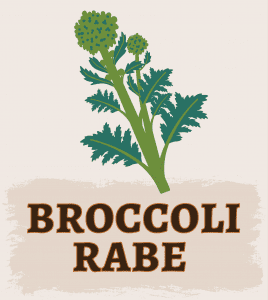 Broccoli Rabe Illustration