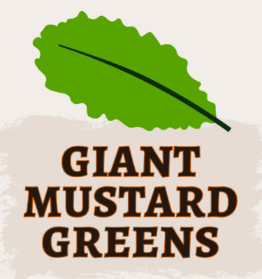 Giant Mustard Greens