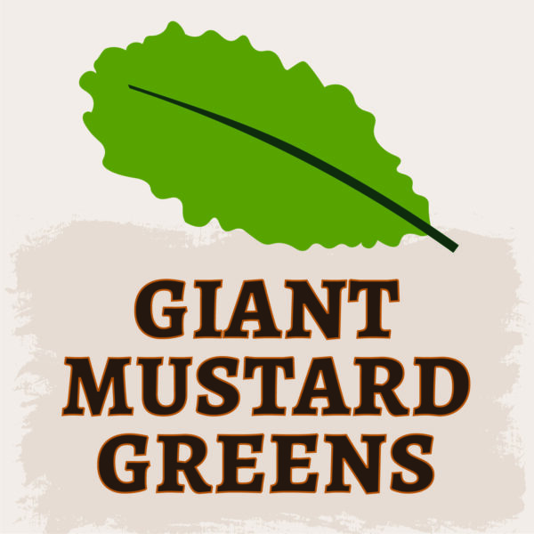 Giant Mustard Greens