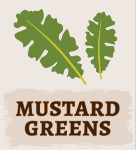 Mustard Greens Illustration