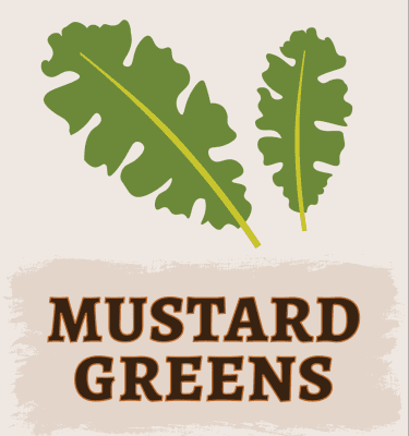 Mustard Greens Illustration