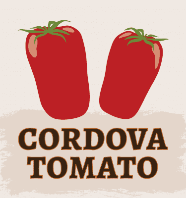 Cordova Tomato