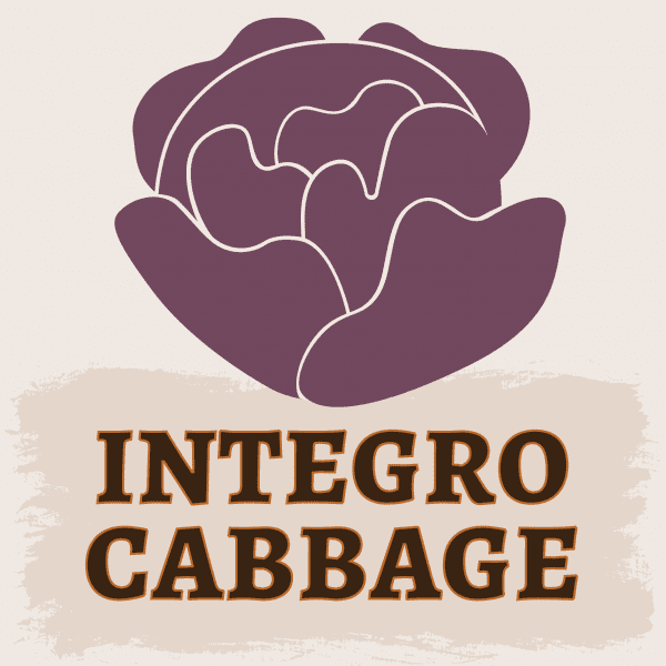 Integro Cabbage Illustration