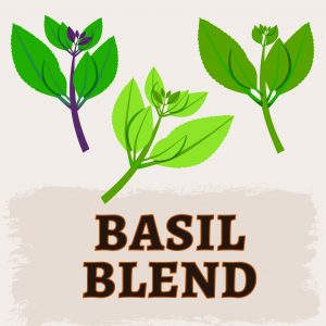 Basil Blend