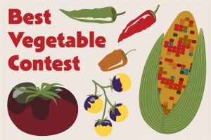 Best Vegetable Contest - tomatoes, corn, and peppers