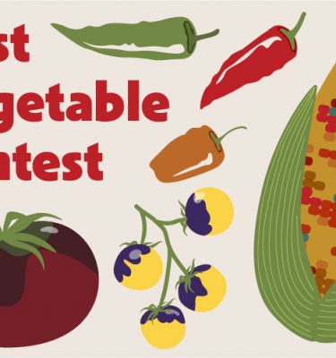 Best Vegetable Contest - tomatoes, corn, and peppers