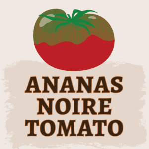 Ananas Noire Tomato