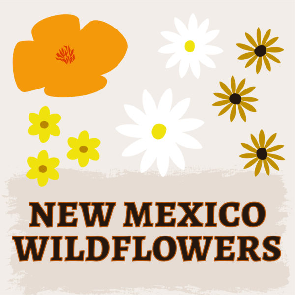New Mexico Wildflowers