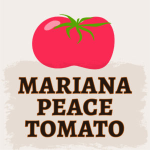 Mariana Peace Tomato