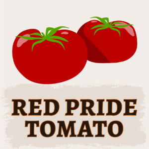 Red Pride Tomato