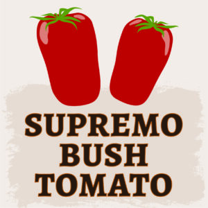 Supremo Bush Tomato