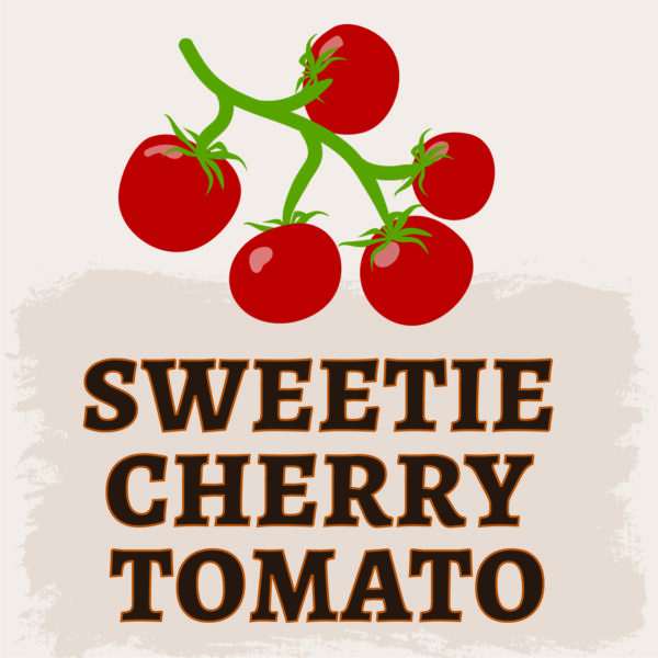 Sweetie Cherry Tomato