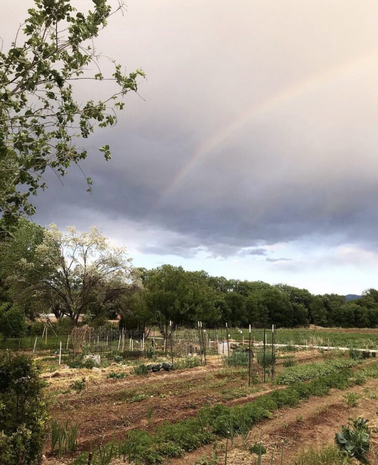 Sustainable Agriculture - RIO GRANDE COMMUNITY FARM