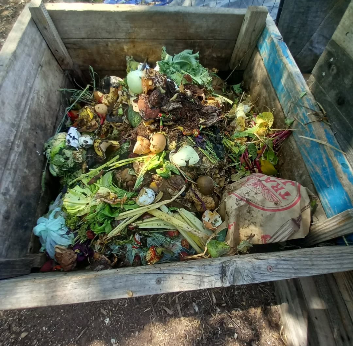 compost pile at the farm