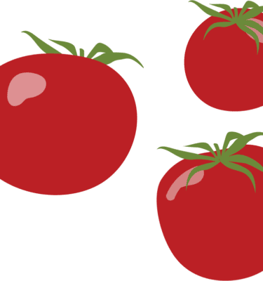 Arkansas Traveler Tomato